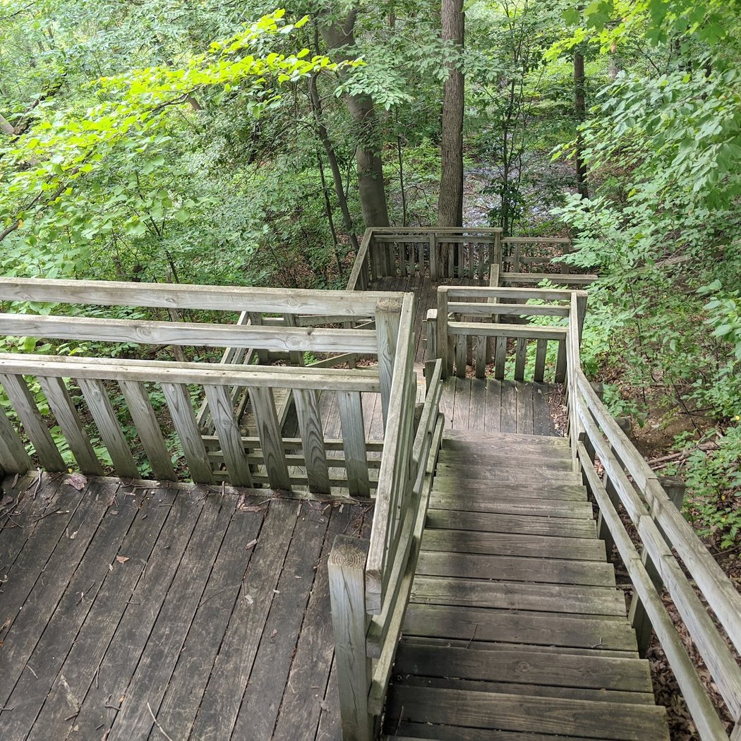 Burgess-Shadbush Nature Center 3